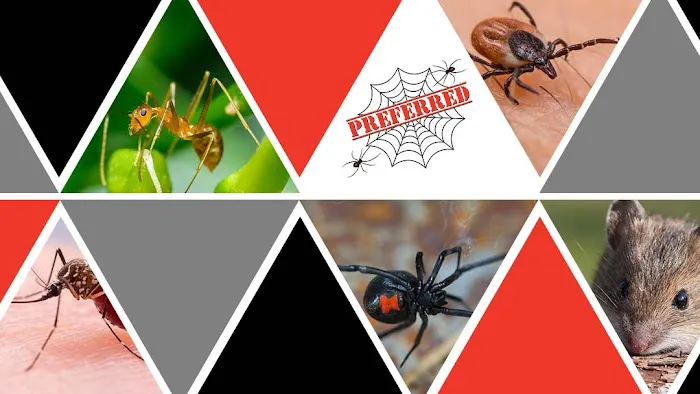 Preferred Termite and Pest Control Picture 3