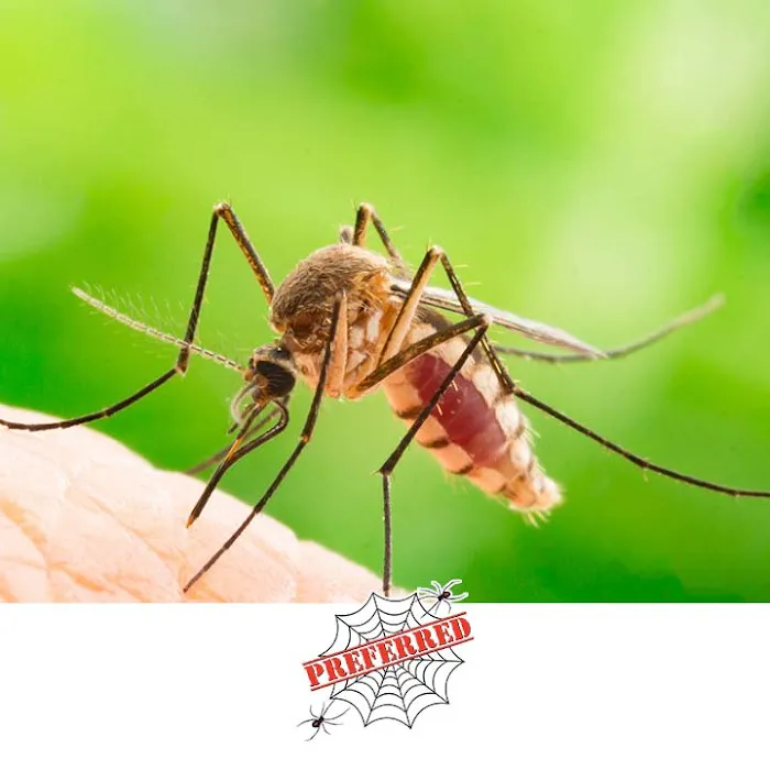 Preferred Termite and Pest Control Picture 9