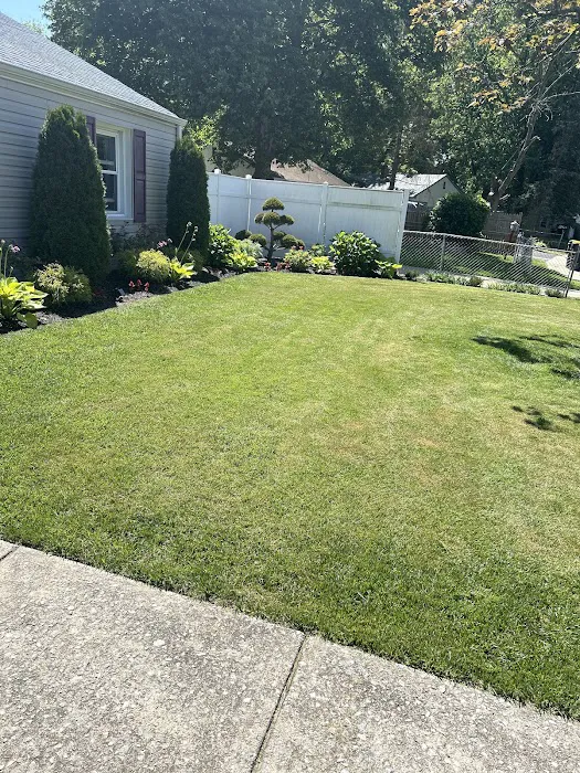 Lawn Doctor of Wilmington Picture 5
