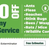 Green Exterminator ico