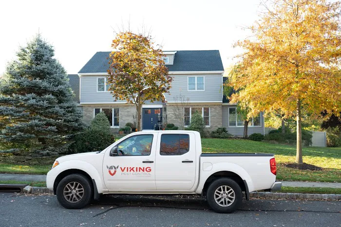 Viking Pest Control Picture 1
