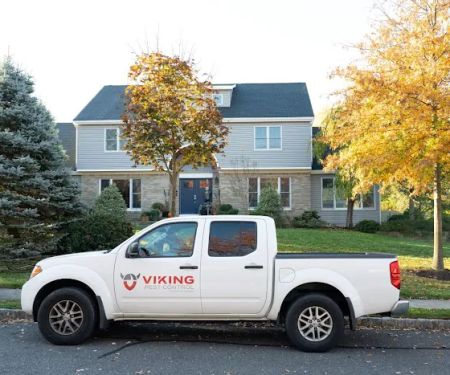 Viking Pest Control