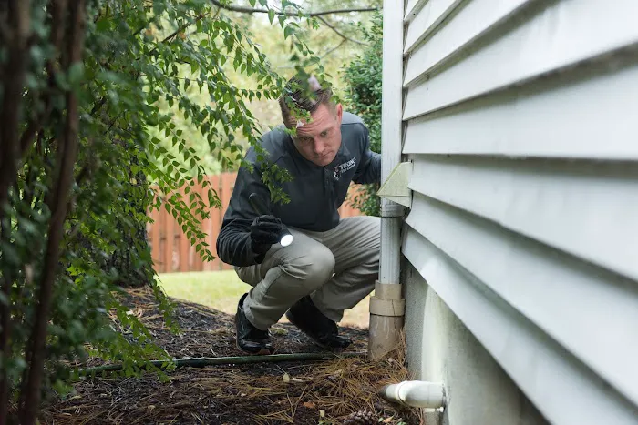 Viking Pest Control Picture 4