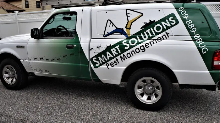 Smart Solutions Pest Management Picture 7