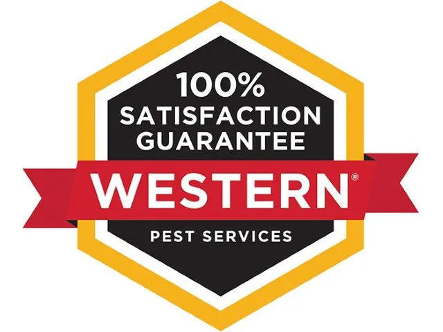 Western Pest Services Picture 2