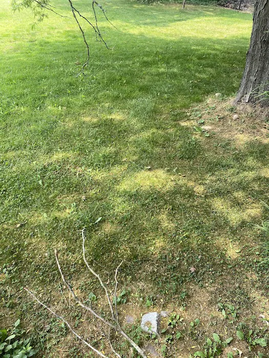 Mosquito Authority - Dover, DE Picture 8