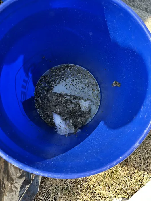 Mosquito Authority - Dover, DE Picture 10