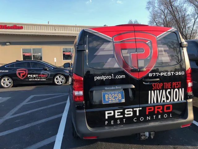 PEST PRO Picture 1