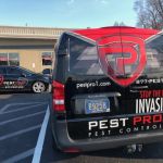 PEST PRO