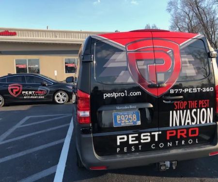 PEST PRO