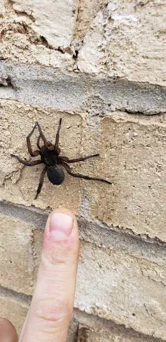 Davidsons pest control Picture 5