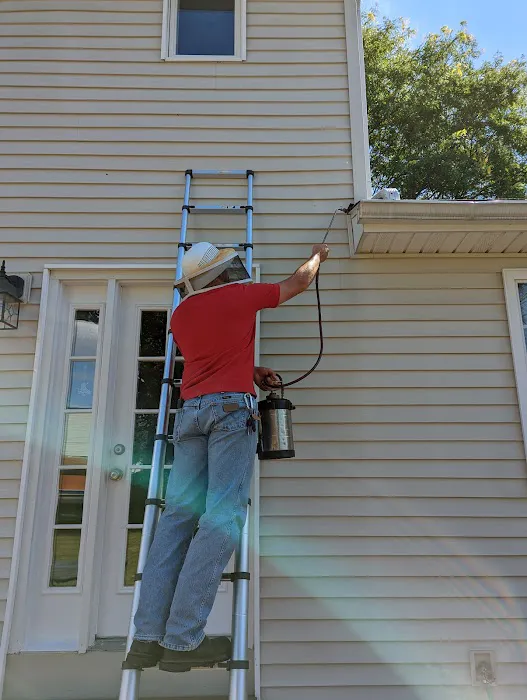 Lady Bugs All Pest Solutions Picture 1