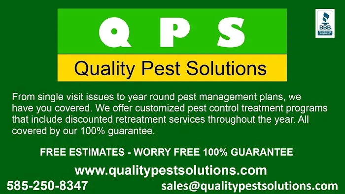 Quality Pest Solutions Picture 2