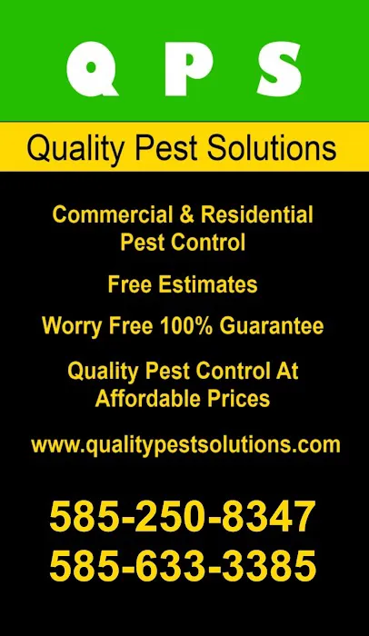 Quality Pest Solutions Picture 3