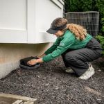 Insight Pest Solutions NY LLC