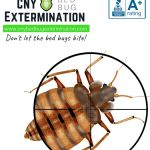 CNY Bed Bug Extermination