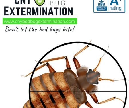 CNY Bed Bug Extermination