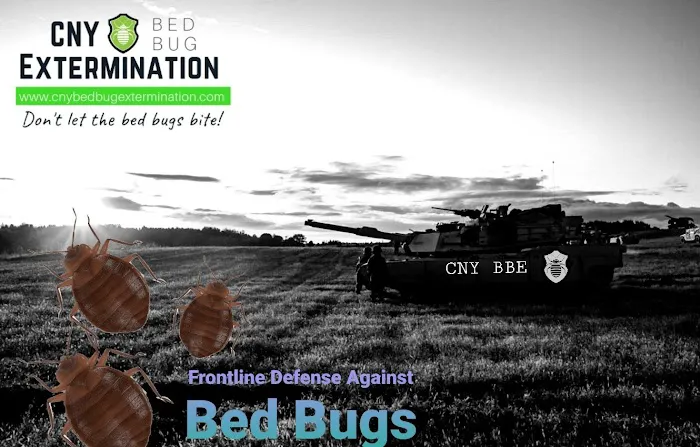 CNY Bed Bug Extermination Picture 7