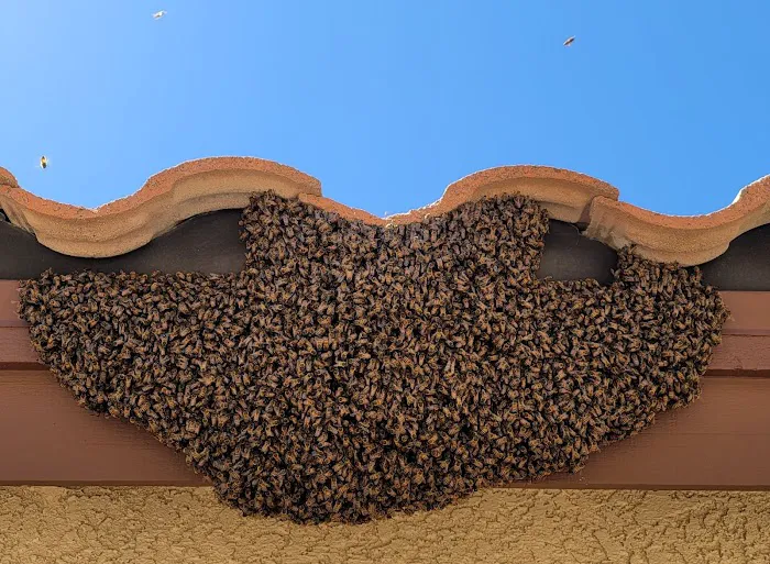 Buzzing Best Farms Picture 5