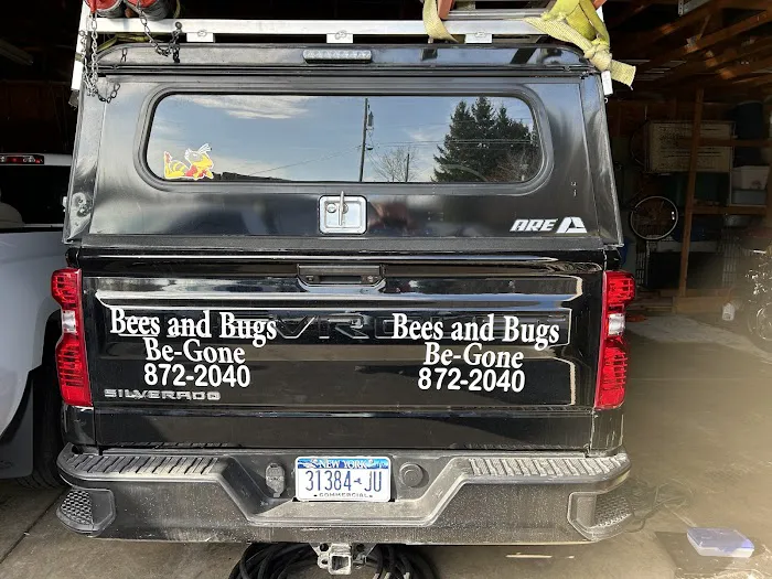Bees & Bugs Be-Gone Picture 2