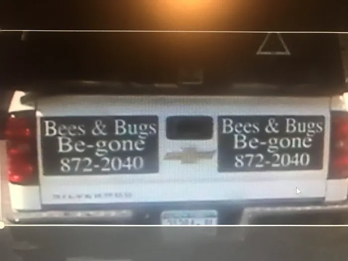 Bees & Bugs Be-Gone Picture 1