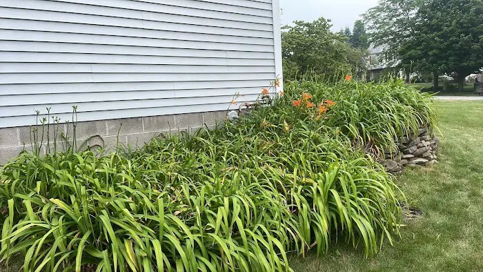 Brockman Tree & Lawn Care Picture 2