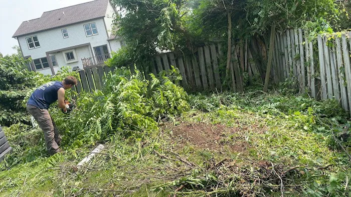 Brockman Tree & Lawn Care Picture 4