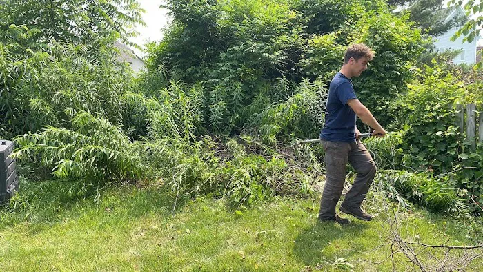 Brockman Tree & Lawn Care Picture 1