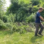 Brockman Tree & Lawn Care