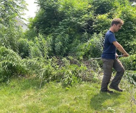 Brockman Tree & Lawn Care
