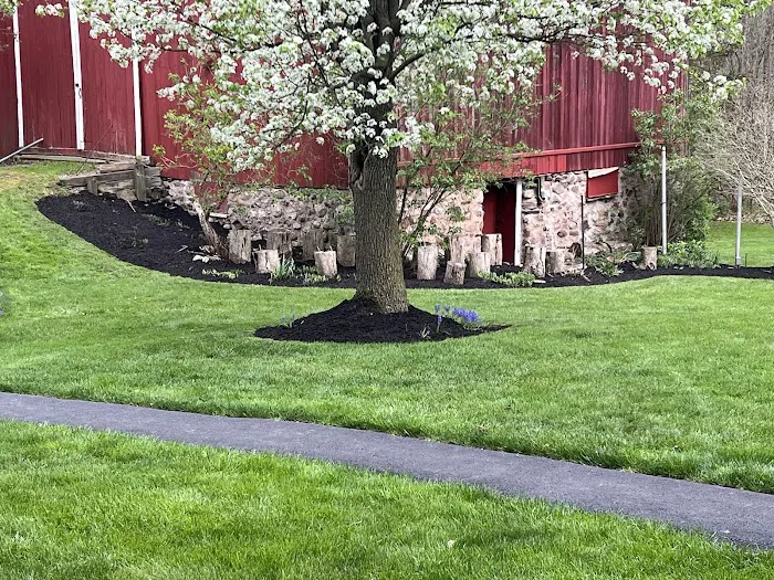 Brockman Tree & Lawn Care Picture 9