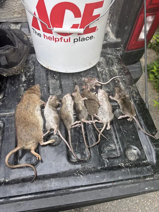 Rat Pawtrol Picture 4