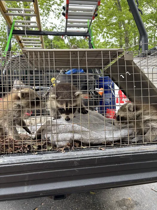 Rat Pawtrol Picture 7