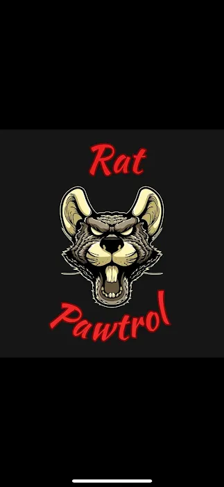 Rat Pawtrol Picture 1