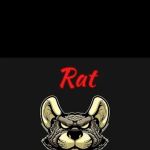 Rat Pawtrol