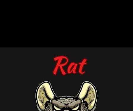 Rat Pawtrol