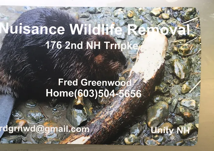 Nuisance wildlife Removal LLC Picture 5