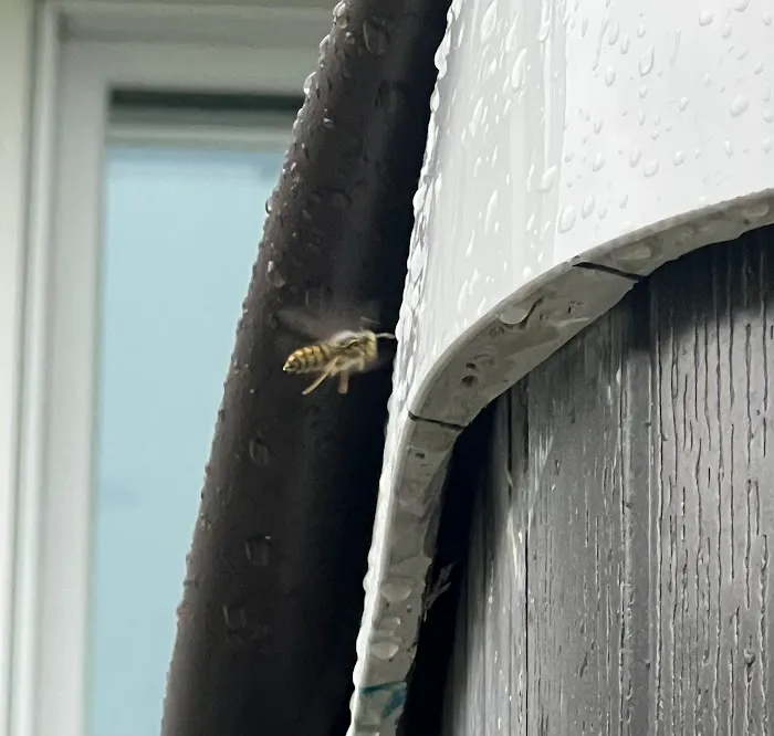 Sully's Pest Services Picture 3