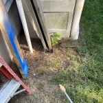 Aptive Pest Control