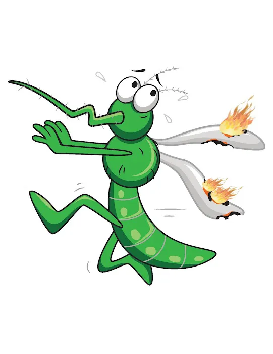Mosquito Alliance League Picture 1