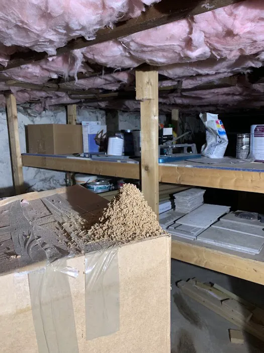 D Bug Pest Solutions Picture 5