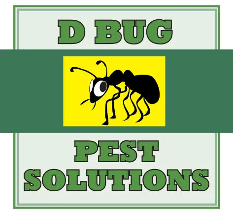 D Bug Pest Solutions Picture 6