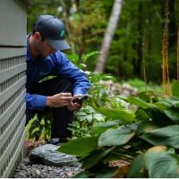 JP Pest Services ico