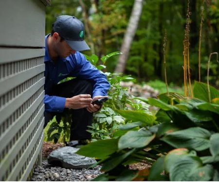 JP Pest Services