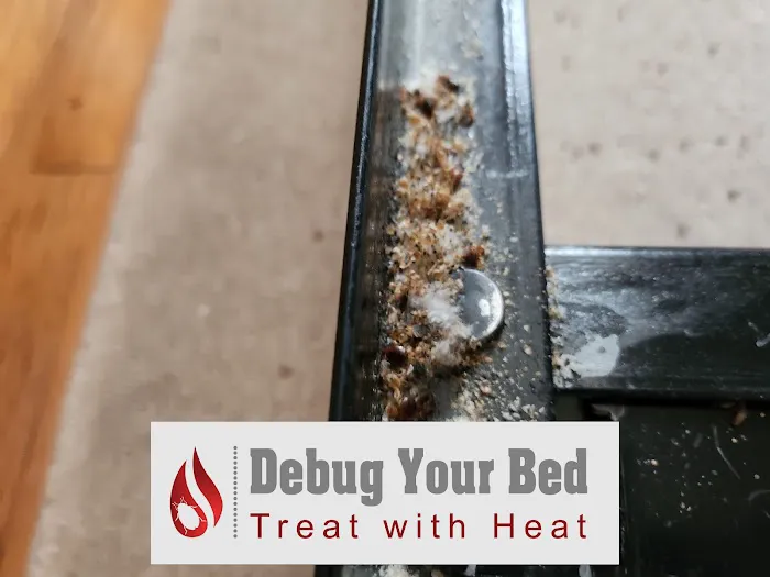 Debug Your Bed - Pest Control Picture 2