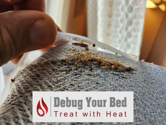 Debug Your Bed - Pest Control Picture 1