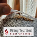 Debug Your Bed - Pest Control