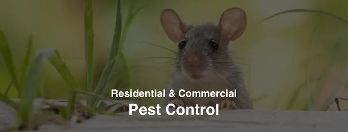 Garfield Pest Control Picture 8