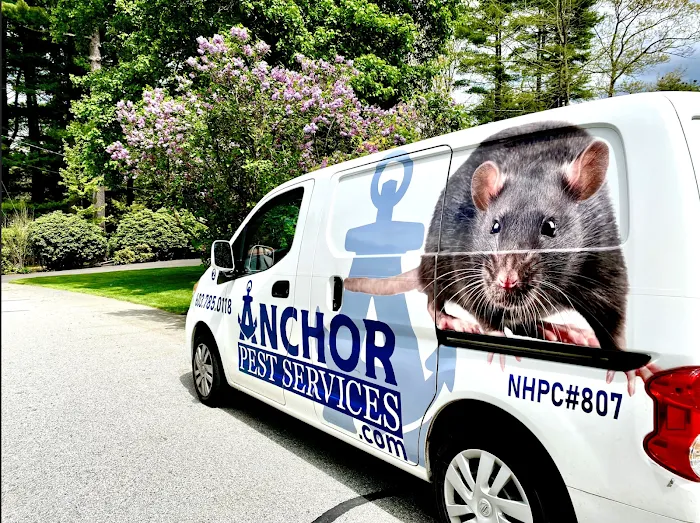 Anchor Pest Services Picture 6