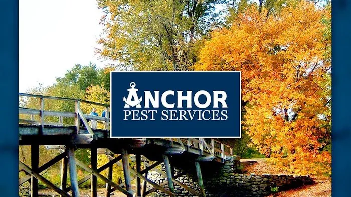 Anchor Pest Services Picture 2